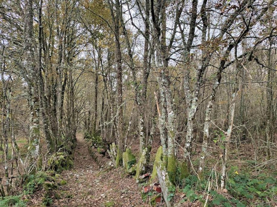 Casa Carmina: Casa Para Pequenos Grupos En El Corazon De Galicia O Irixo Экстерьер фото